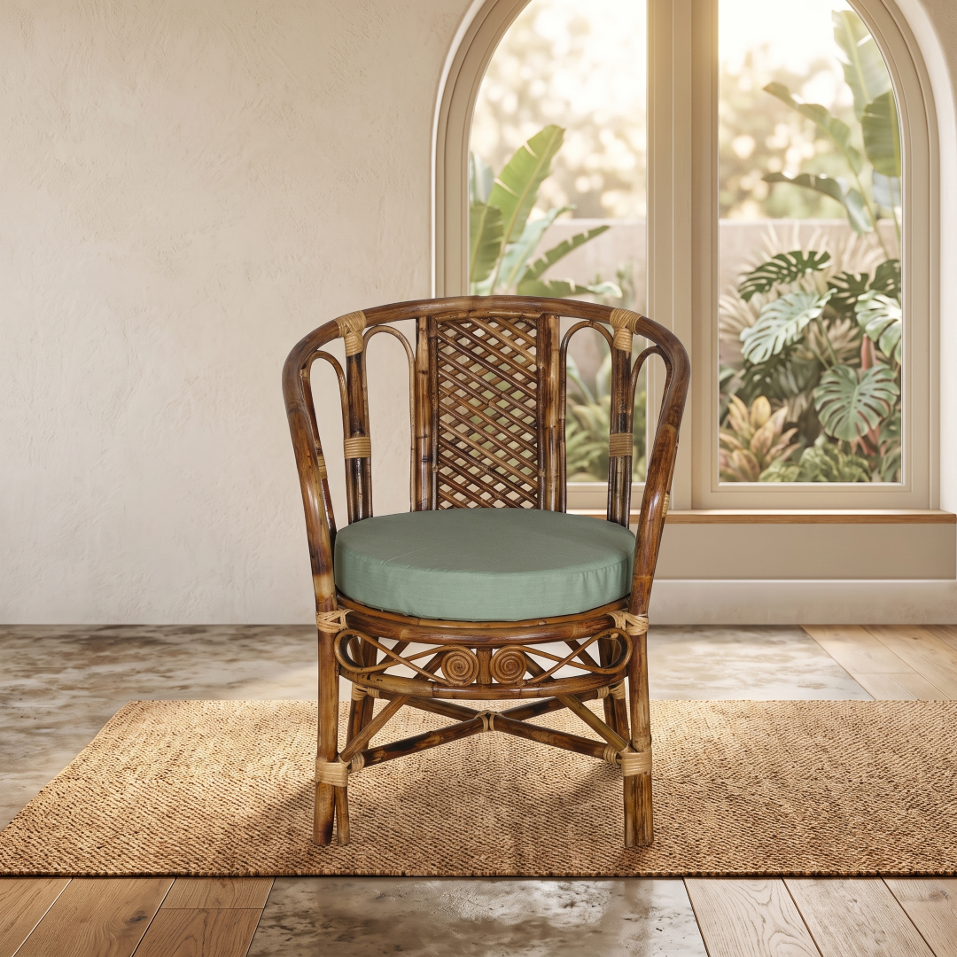 Chair Sofa+Cushn