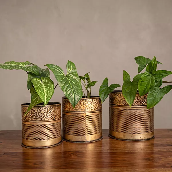 Round Planter S/3