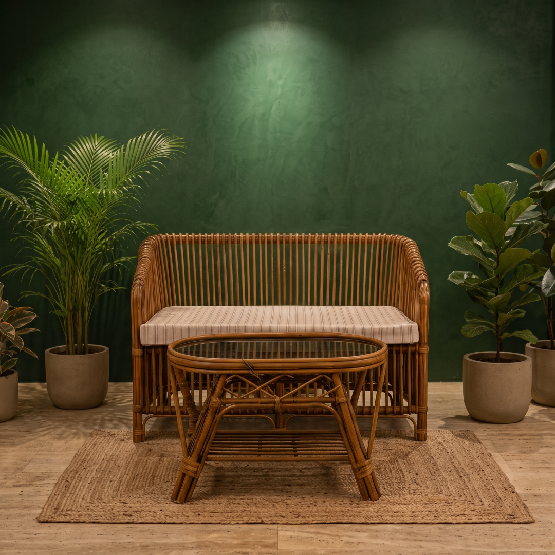 Sofa St Ln 2seat+Cushn